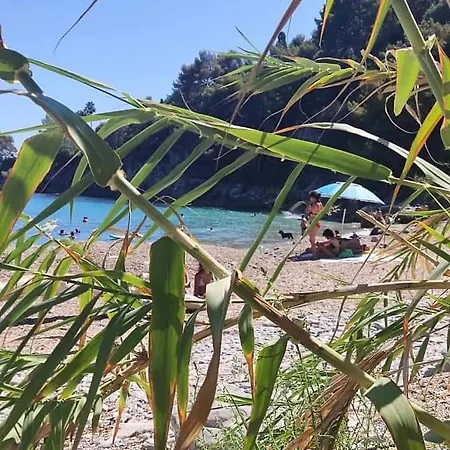 Casa Jasmine Appartamento Camporosso (Liguria)